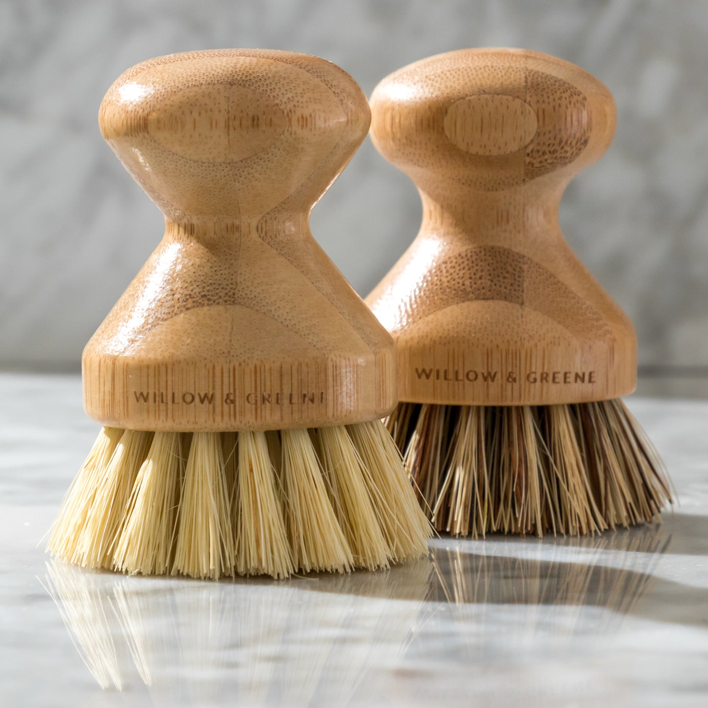 Bamboo Dish brush set