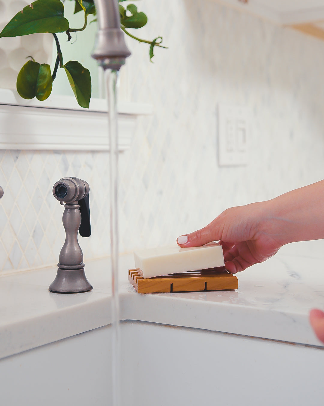 DISHBAR™ in Eucalyptus